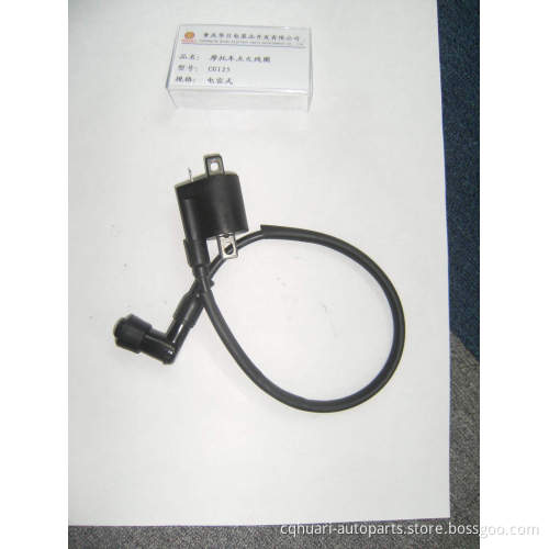 Ignition Coil for Motorcycle, ATV, Quads